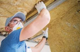 Types of Insulation We Offer in Carrizo Hill, TX